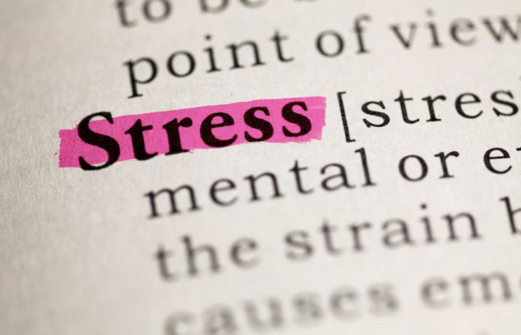 4 Facts About Stress That Will Make You Less Stressed (Yes, Really)