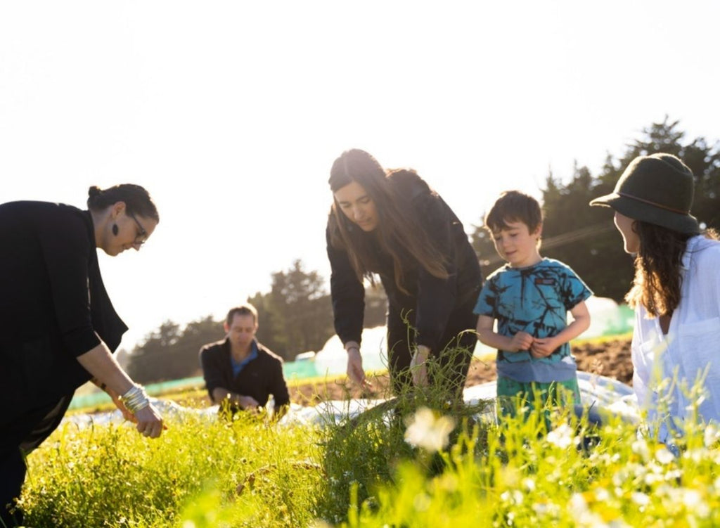 6 Great Herbs For Kids - And How To Actually Get Your Children To Eat Them