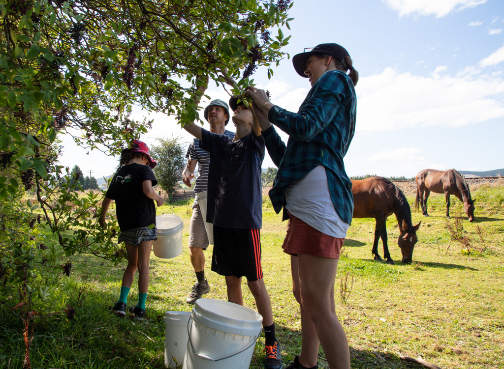 Kids, Supplements and Stress