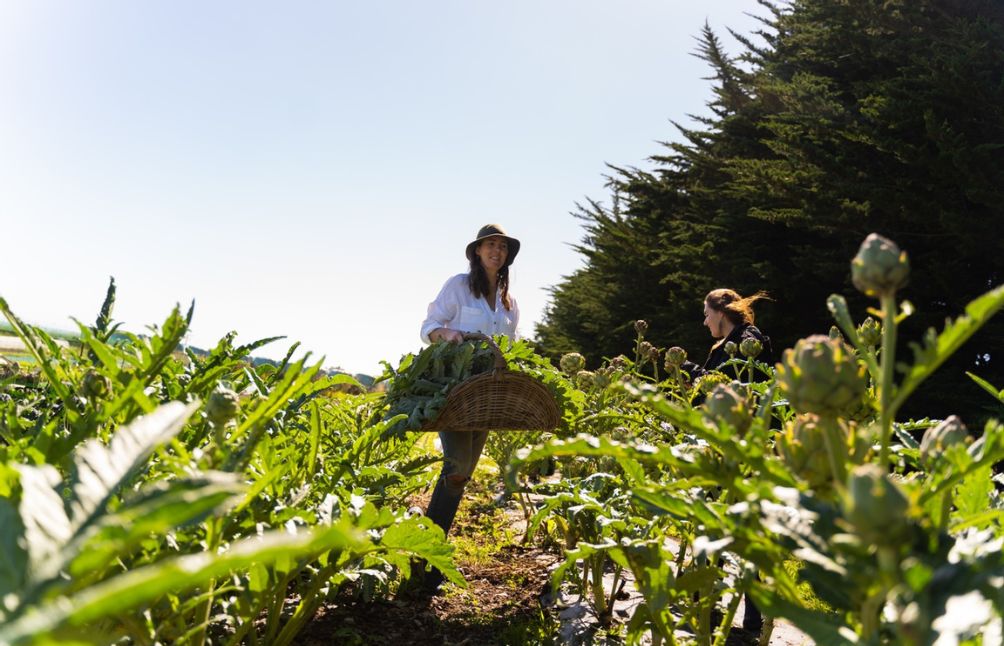 12 Supportive Herbs For Autoimmune Conditions