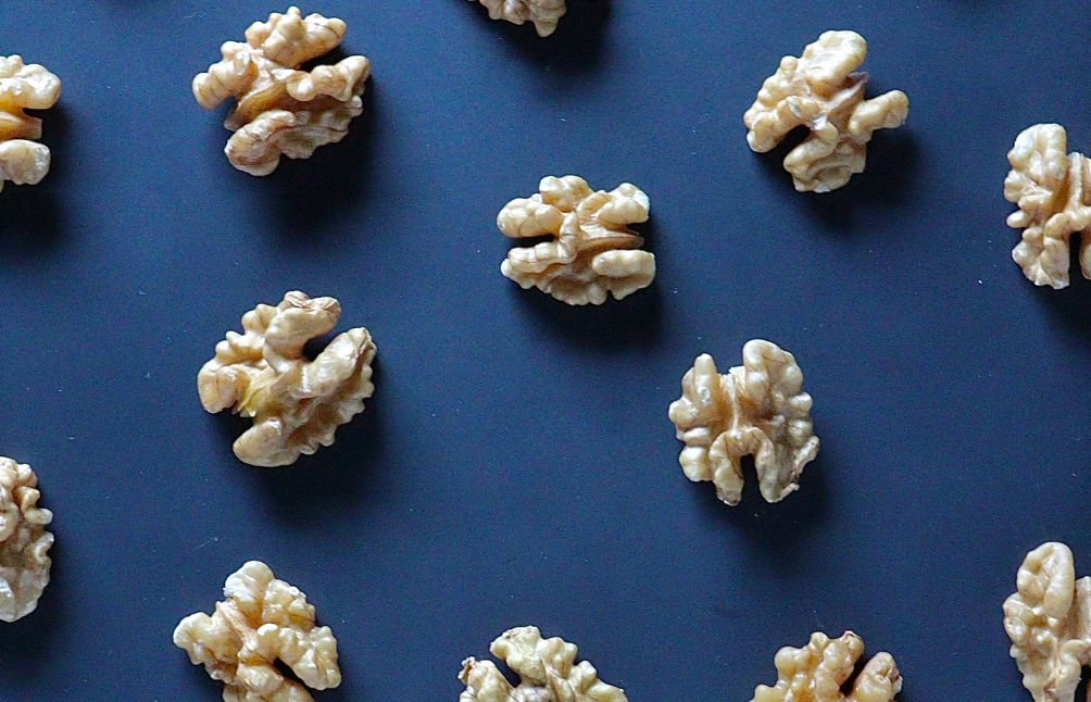 The Gut-Brain Connection: How Your Digestion Affects Mood & Anxiety