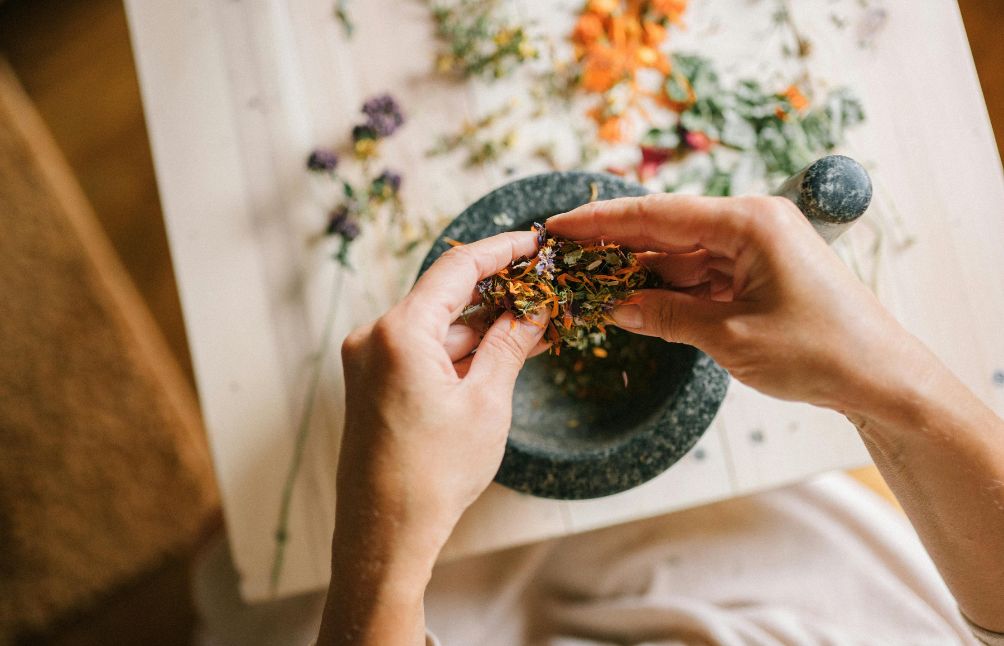 How To Make A Tincture: A Beginner's Guide To Herbal Medicine