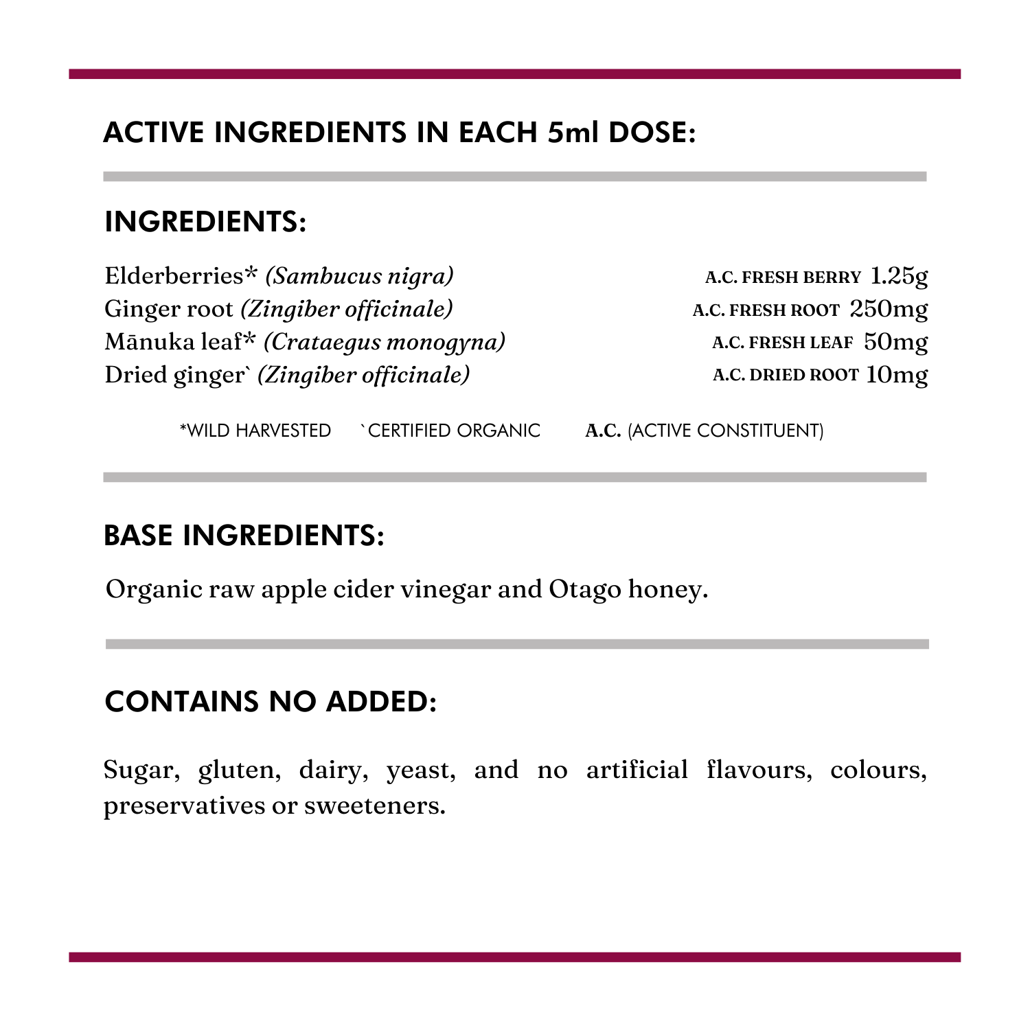 Elderberry Switchel - Wild Dispensary