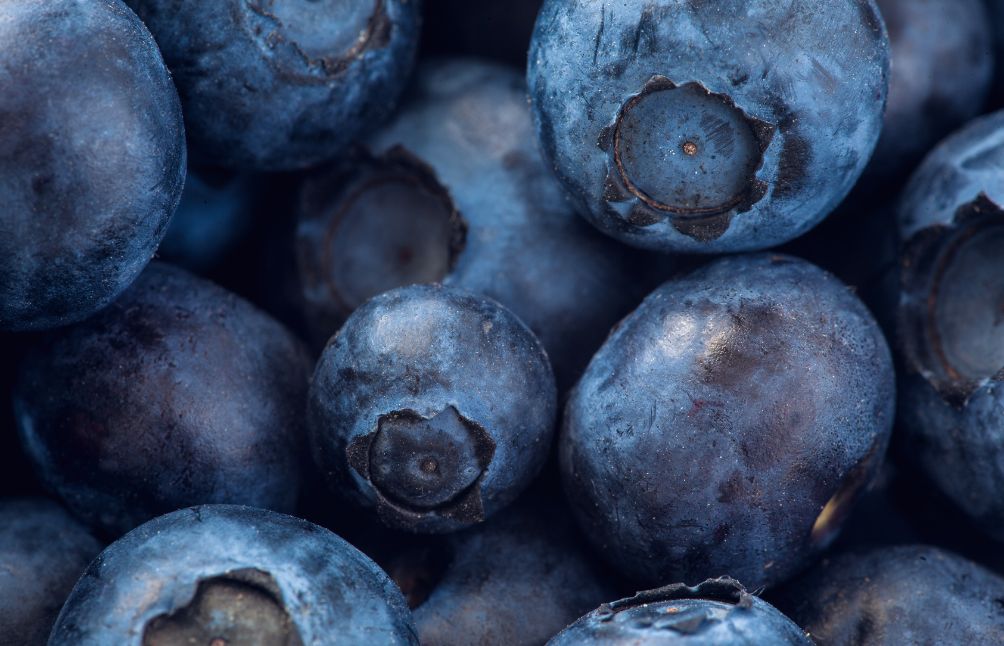 blueberries-anthocyanin