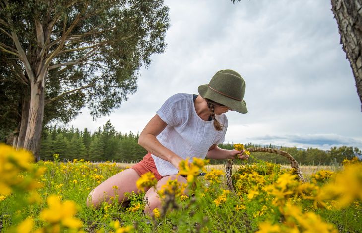 6 Powerful Herbs For Memory And Focus