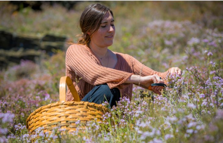 spring-foraging-wild-thyme