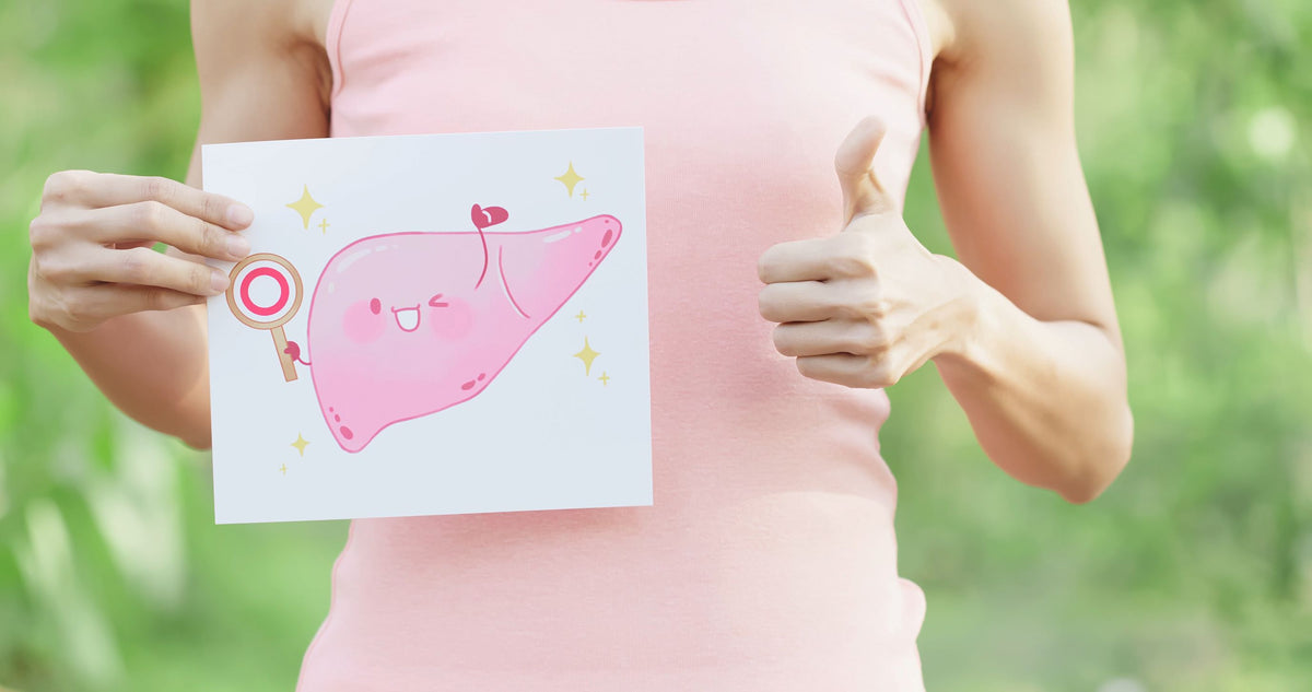 How your Liver and your Immunity are linked (Part 1)