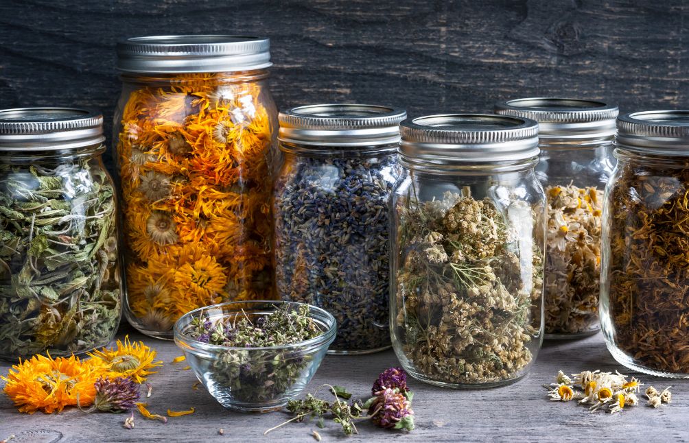 how-to-store-herbs