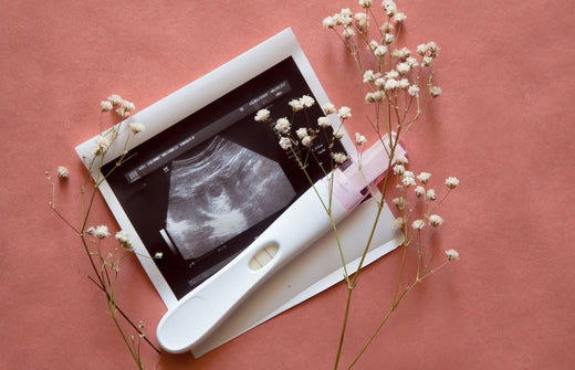 10+ Helpful Herbs For Fertility If You Want To Get Pregnant
