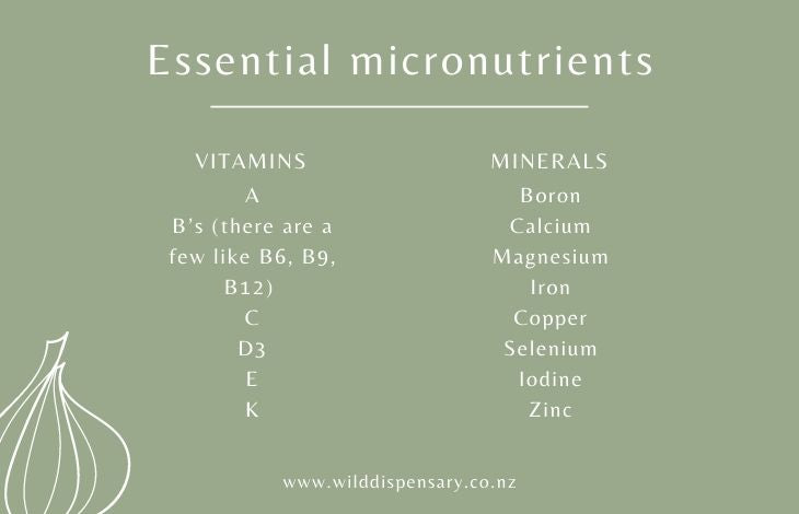The Best Sources Of Micronutrients - What You Need To Be Eating