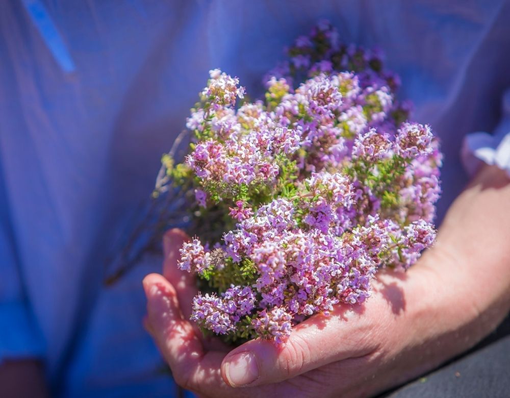 8 Easy Ways To Naturally Boost Your Immune System